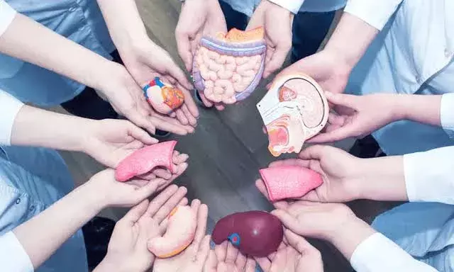 80% of organ transplants between 1995 and 2021 were on men: Govt data