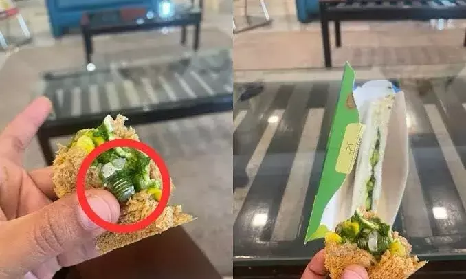 IndiGo passenger claims screw found in sandwich; airline says incident not reported during journey