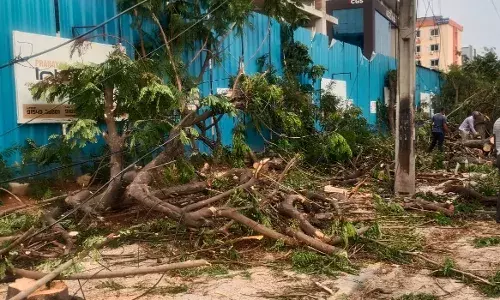 Tree felling at KPBH: Telangana HC issues notice to Principal Secretary, Forests, PCCF