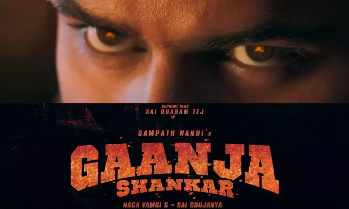 Telangana Anti-Narcotics Bureau notice to makers of Ganja Shankar film over title