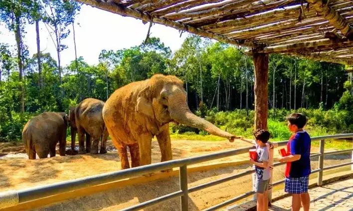 No new zoo, safari without SC approval; issues directions for forest conservation