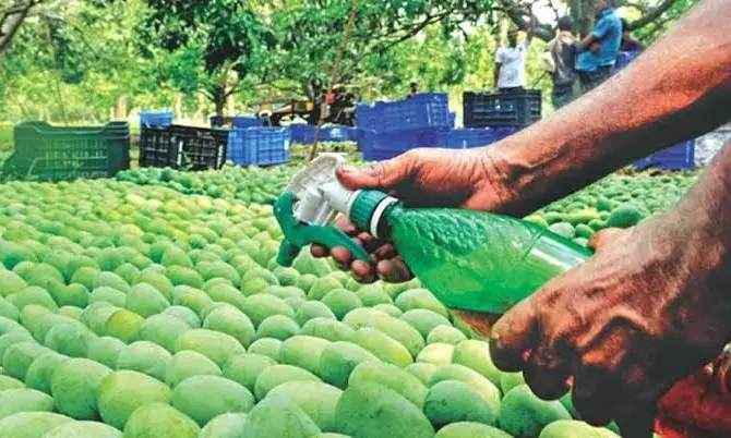 Hyderabad ranks first in food adulteration cases; only 30 food safety officers to safeguard entire city