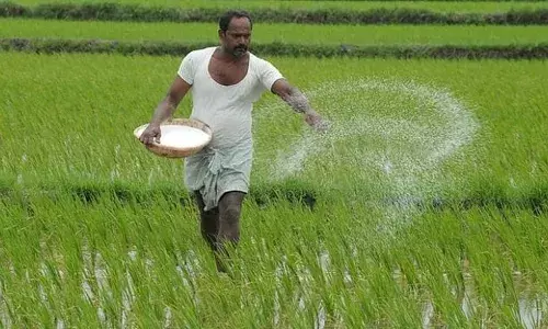 CM Revanth launches Rythu Nestham; asks farmers to focus on crops other than paddy