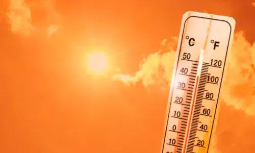 Summer blues: Here are some tips to stay healthy, hydrated in scorching heat