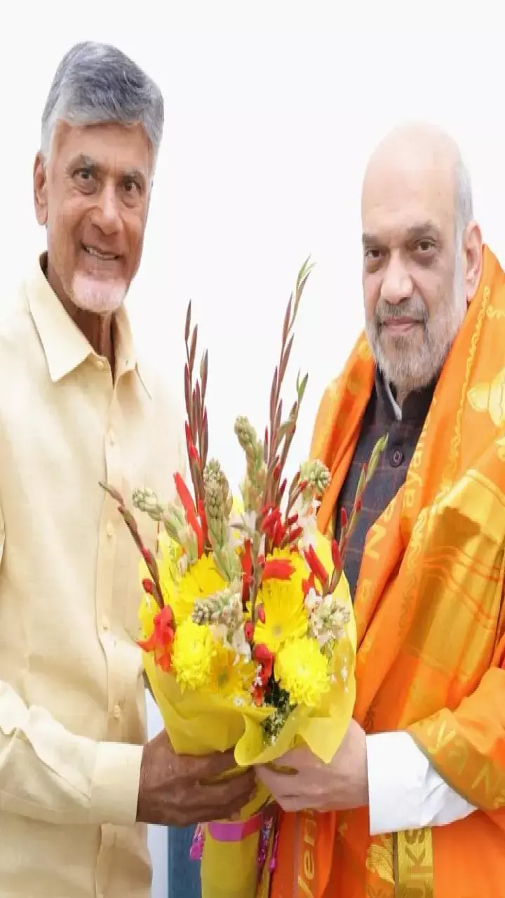 BJP-TDP to work together