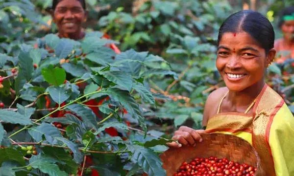 With spotlight on Araku Coffee, UN leaders hail Indias Naari Shakti, sustainable practices to mark Womens Day
