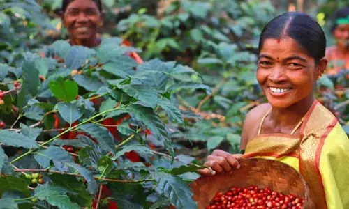 With spotlight on Araku Coffee, UN leaders hail Indias Naari Shakti, sustainable practices to mark Womens Day