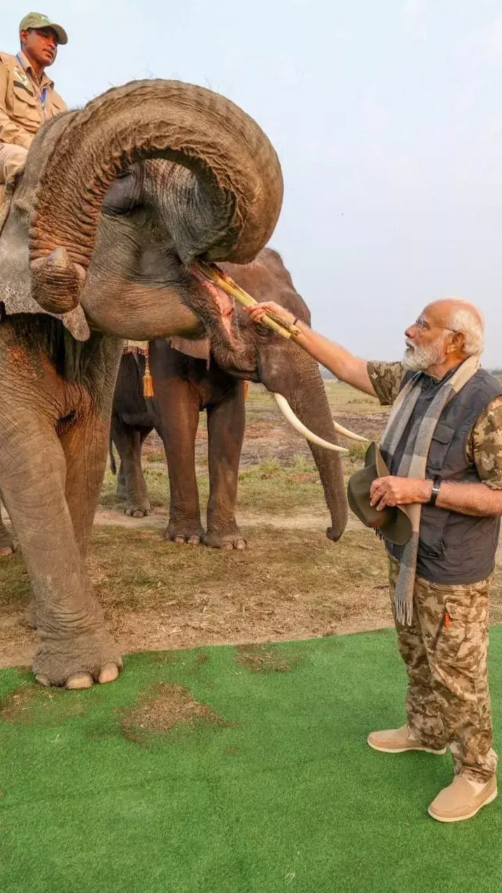 Increasingly disturbed situation in North East