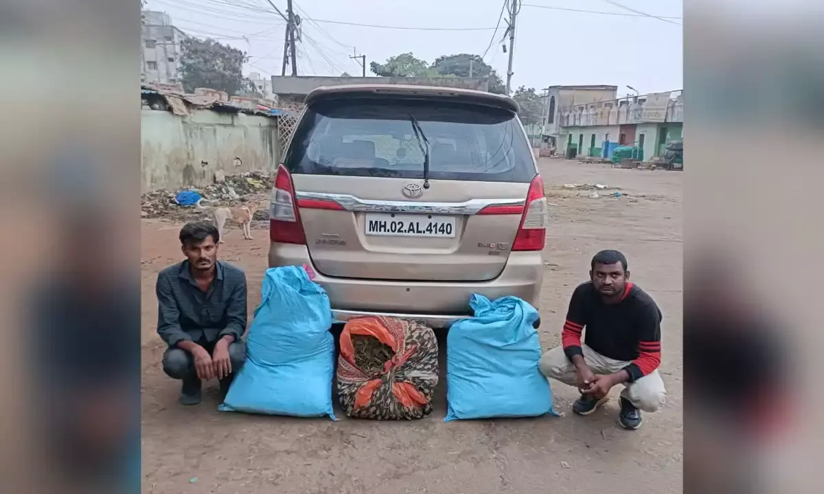 2 Maharashtra peddlers held with 34 kg of ganja in Gudimalkapur