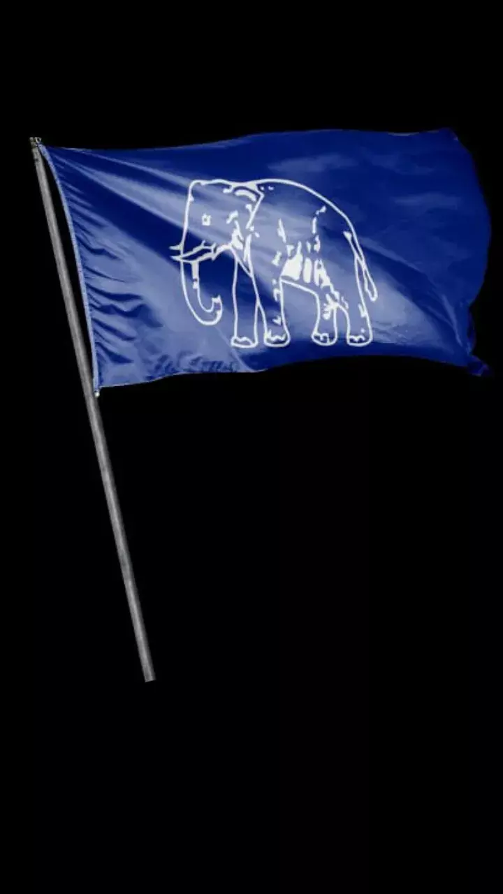 BSP will contest in 2 LS seats