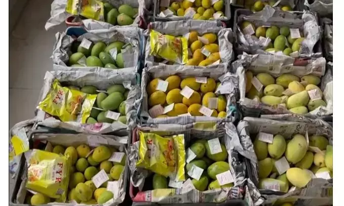Moazzam Jahi Market: Cops seize artificially ripened mangoes worth Rs 3 lakhs