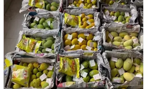 Moazzam Jahi Market: Cops seize artificially ripened mangoes worth Rs 3 lakhs