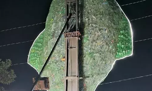 Odisha ITI students create giant fish sculpture from plastic waste