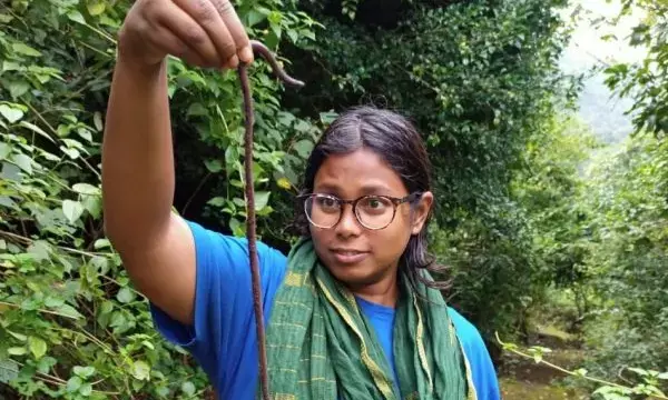Two new earthworm species discovered in Odisha’s Koraput