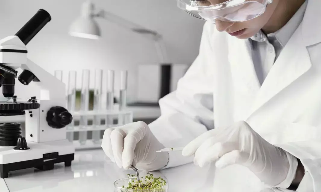 Syngenta sets up seed testing lab in Hyderabad with Rs 20 cr investment