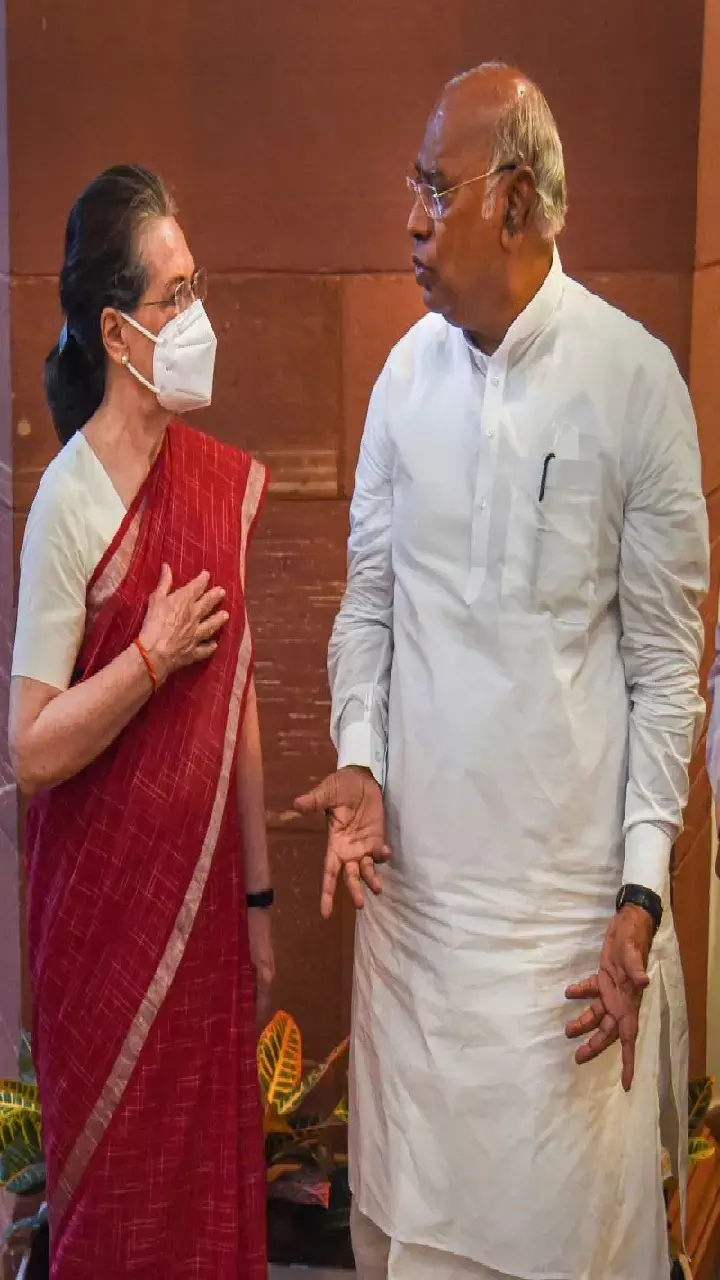 Congress star campaigners for Chhattisgarh