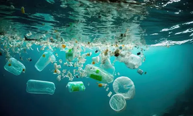 Ocean floor reservoir of plastic pollution, study finds
