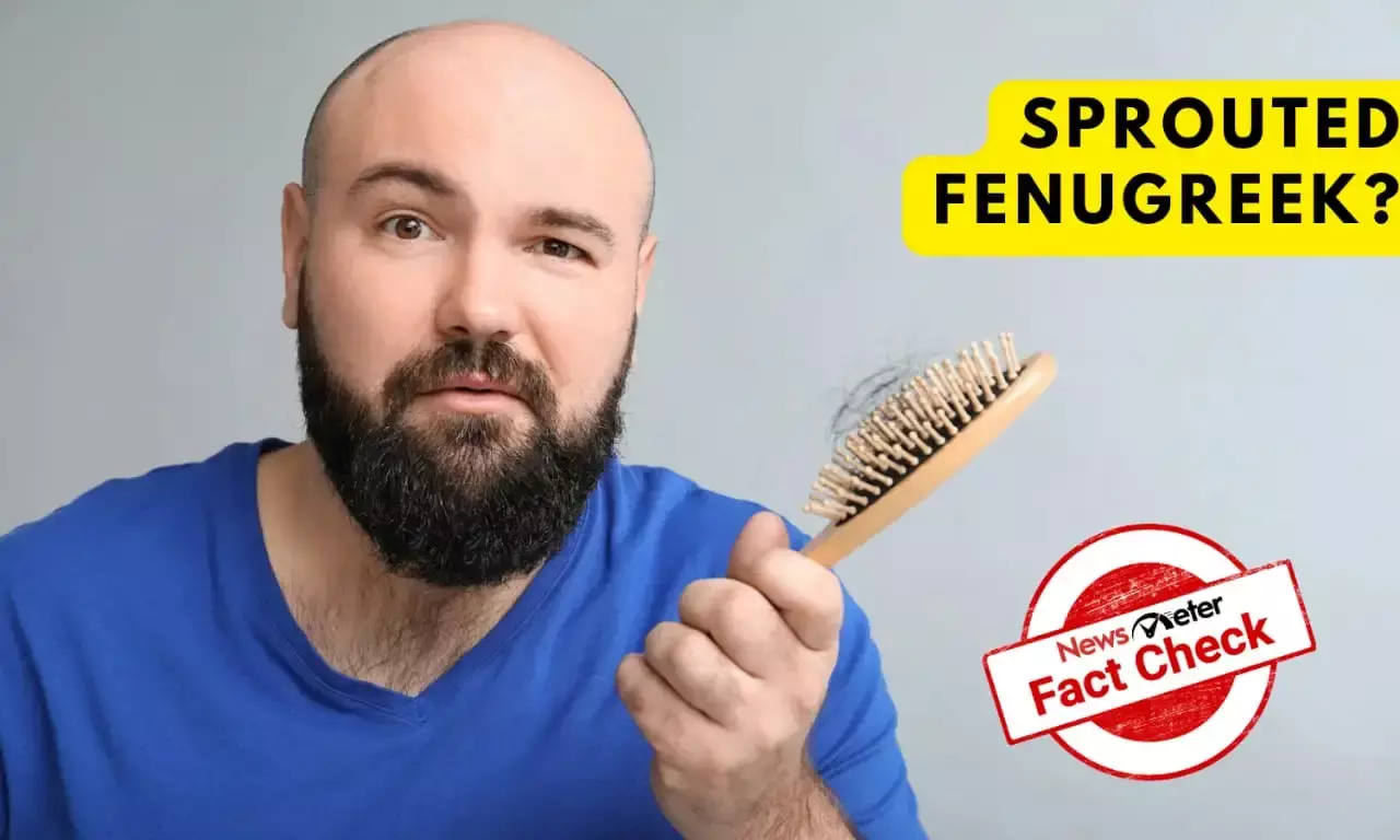 Fact Check: Can consuming sprouted fenugreek help regenerate lost hair?