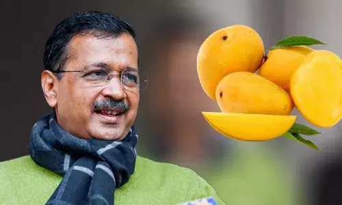 Aam Aadmi Party Kejriwal eating mango to boost sugar level says ED