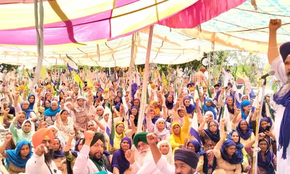 Farmers protest at Punjabs Shambhu railway track enters 5th day