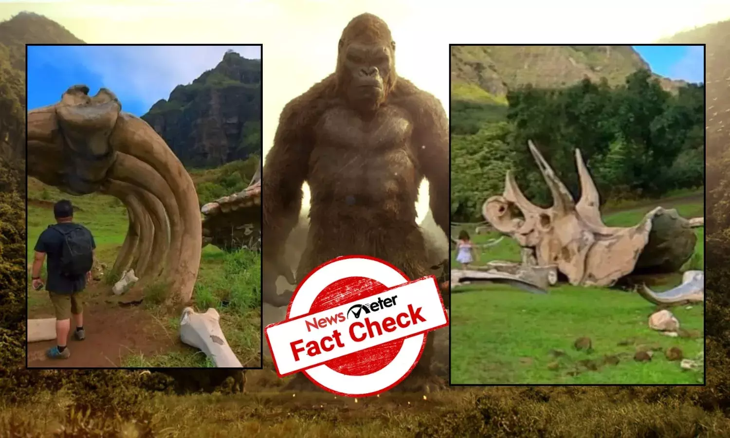 Fact Check: ‘Giant Bones of Hawaii’ are props made for 2017 film Kong: Skull Island