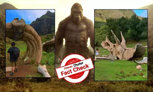 Fact Check: ‘Giant Bones of Hawaii’ are props made for 2017 film Kong: Skull Island