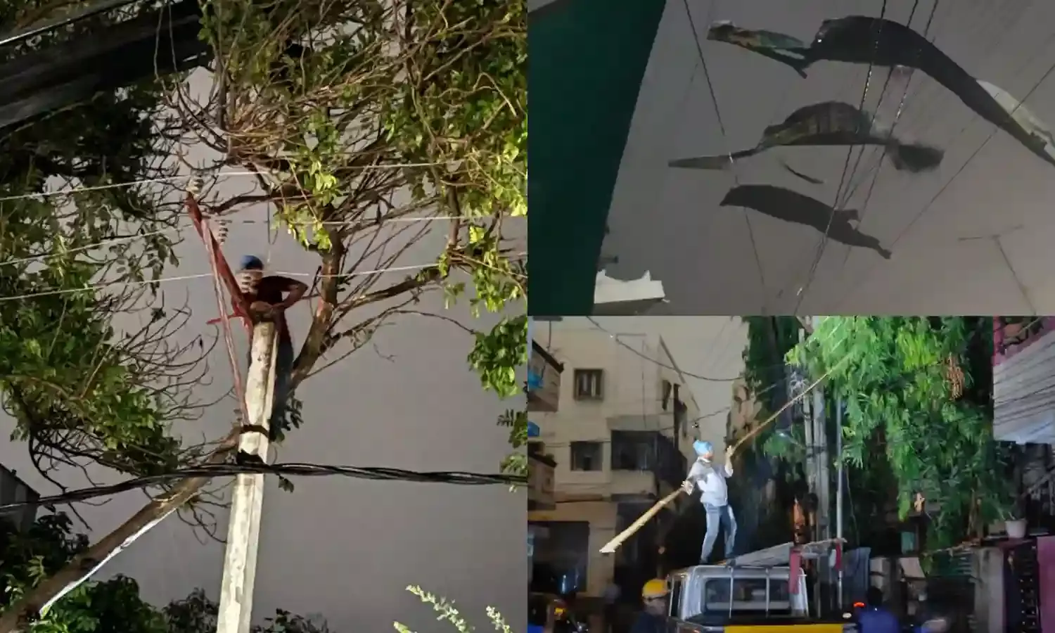 Hyderabad rains: TSSPDCL, EV&DM, GHMC swing into action to restore power supply