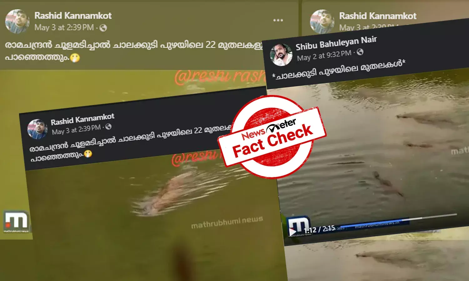 Fact Check: ചാലക്കുടി പുഴയിലെ 22 മുതലകള്‍ -  വീഡിയോയുടെ വാസ്തവമറിയാം
