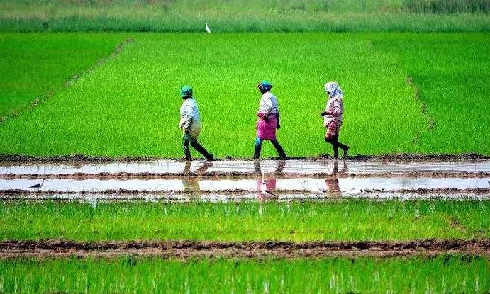 Ending suspense, CM Revanth announces to waive off farm loan by Aug 15