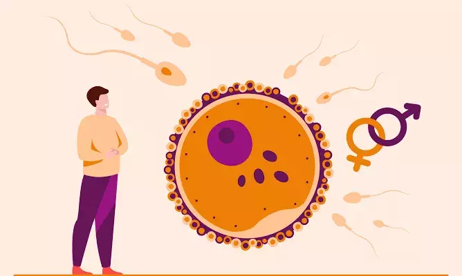 ‘One in 7 couples infertile’: Hyderabad CSIR scientists identify gene behind male fertility