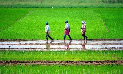 Ending suspense, CM Revanth announces to waive off farm loan by Aug 15