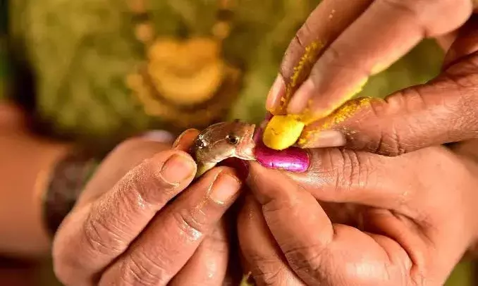 Fish prasadam for asthma patients to be distributed on June 8 in Hyderabad