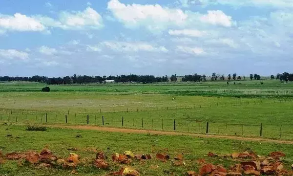 Pre-launch fraud: How 50 homebuyers were duped by Prathista Properties in Sangareddy