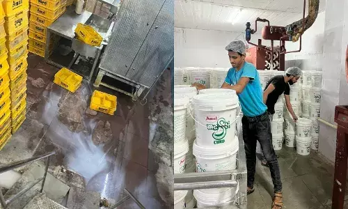 Bad smell, unqualified handlers: Anitha Dairy in Rangareddy found violating safety norms