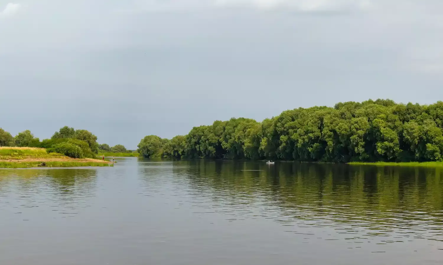 Indian student was on video call with family moments before drowning in Russia