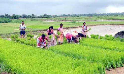 Revanth Reddy sets August 15 deadline to roll out farm loan waiver scheme