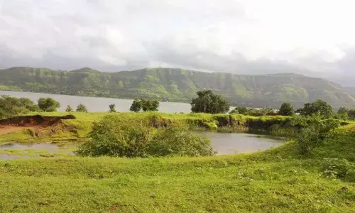 Mahabaleshwar Monsoon Bliss: A scenic retreat to the hills