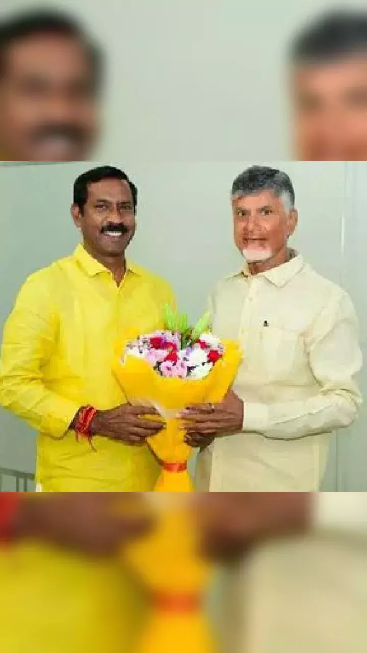 P Srinivasa Rao Yadav is TDP AP president