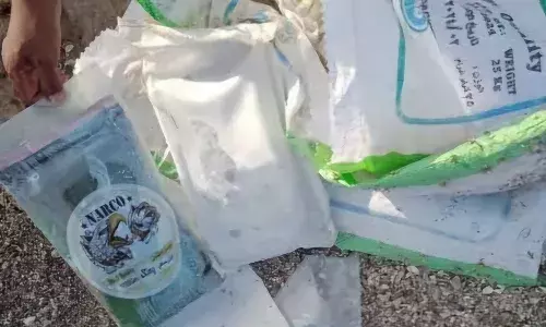 Cops recover 87 packets of charas worth over Rs 40 cr washed up on Gujarat sea coast