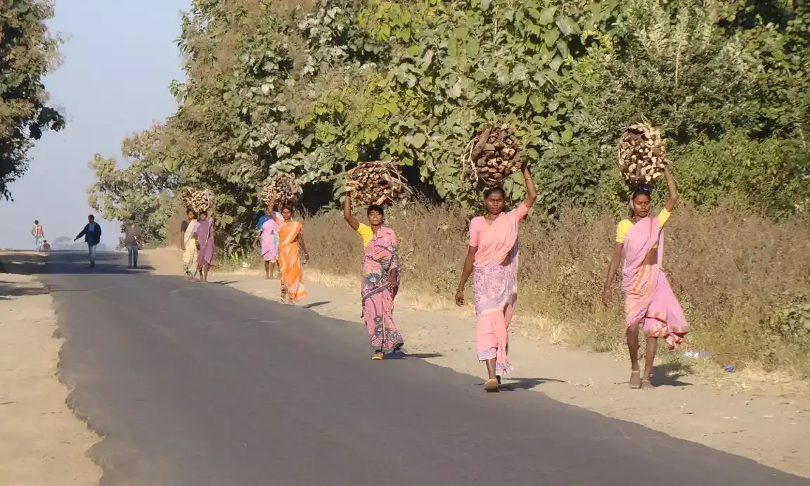 Telangana delays community forest rights for Adilabad tribals