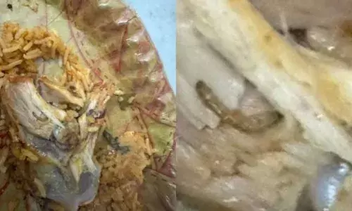 Kukatpally: Man finds maggots in food ordered from Mehfil Biryani owned by comedian Zakir Khan