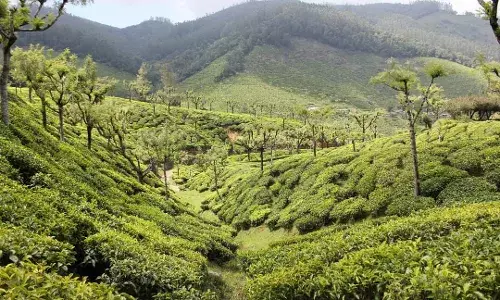 Discover the beauty of Upper Bhavani in TN: A scenic drive adventure