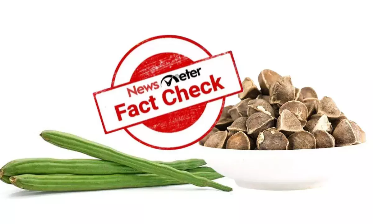 Fact Check: Diabetes diabetes-controlling ability of moringa seeds needs conclusive scientific proof