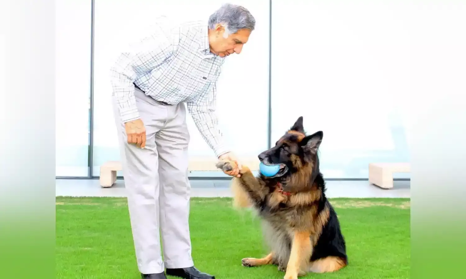 Pet Hospital open 24x7: Ratan Tata opens Tata Trusts Small Animal Hospital in Mumbai