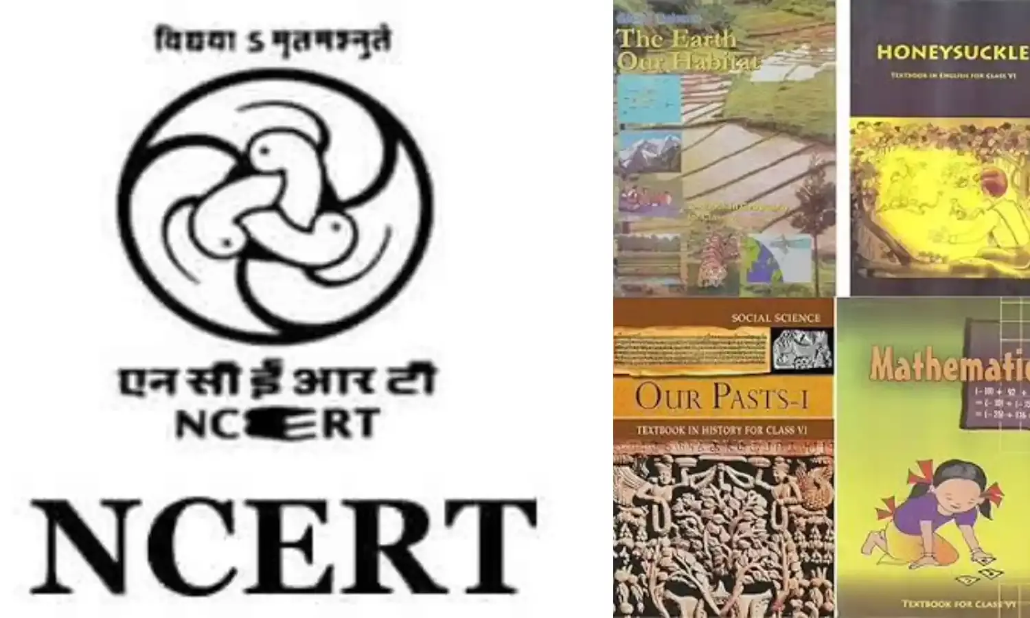 Development of Class 6 textbooks in final phase to be available soon Education ministry