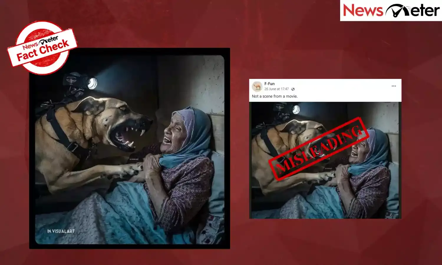Fact Check: AI photo of Israeli Army dog attacking elderly Palestinian woman shared as real