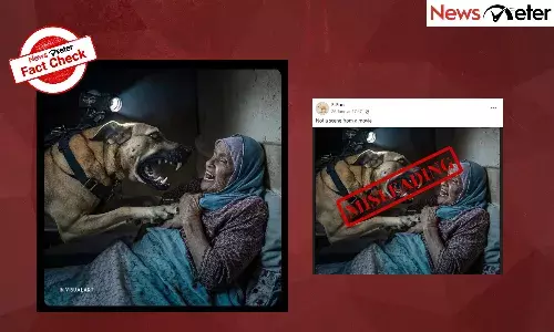 Fact Check: AI photo of Israeli Army dog attacking elderly Palestinian woman shared as real