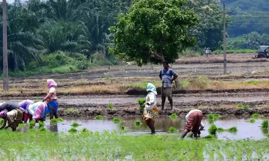 Hyderabad: Tenant farmers urge State for identity cards, Rythu Bharosa benefits