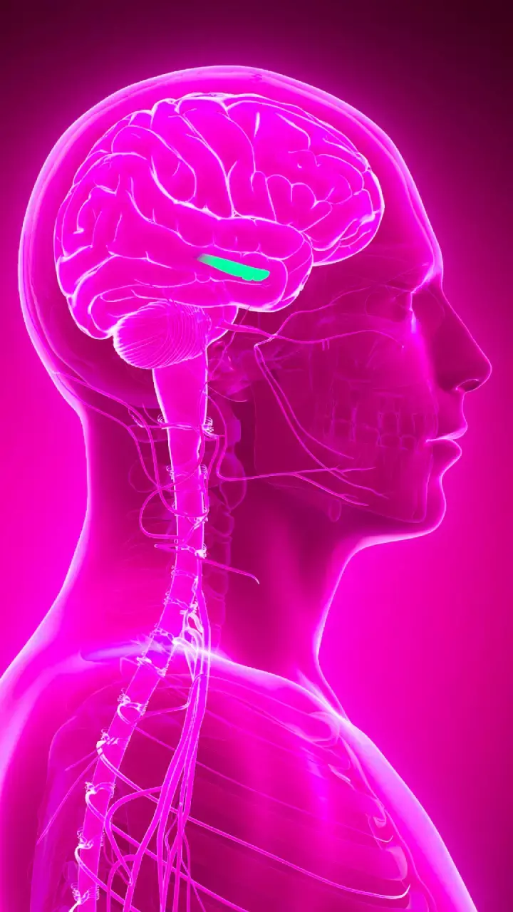 Fourth case of rare brain-eating amoeba infection reported in Kerala