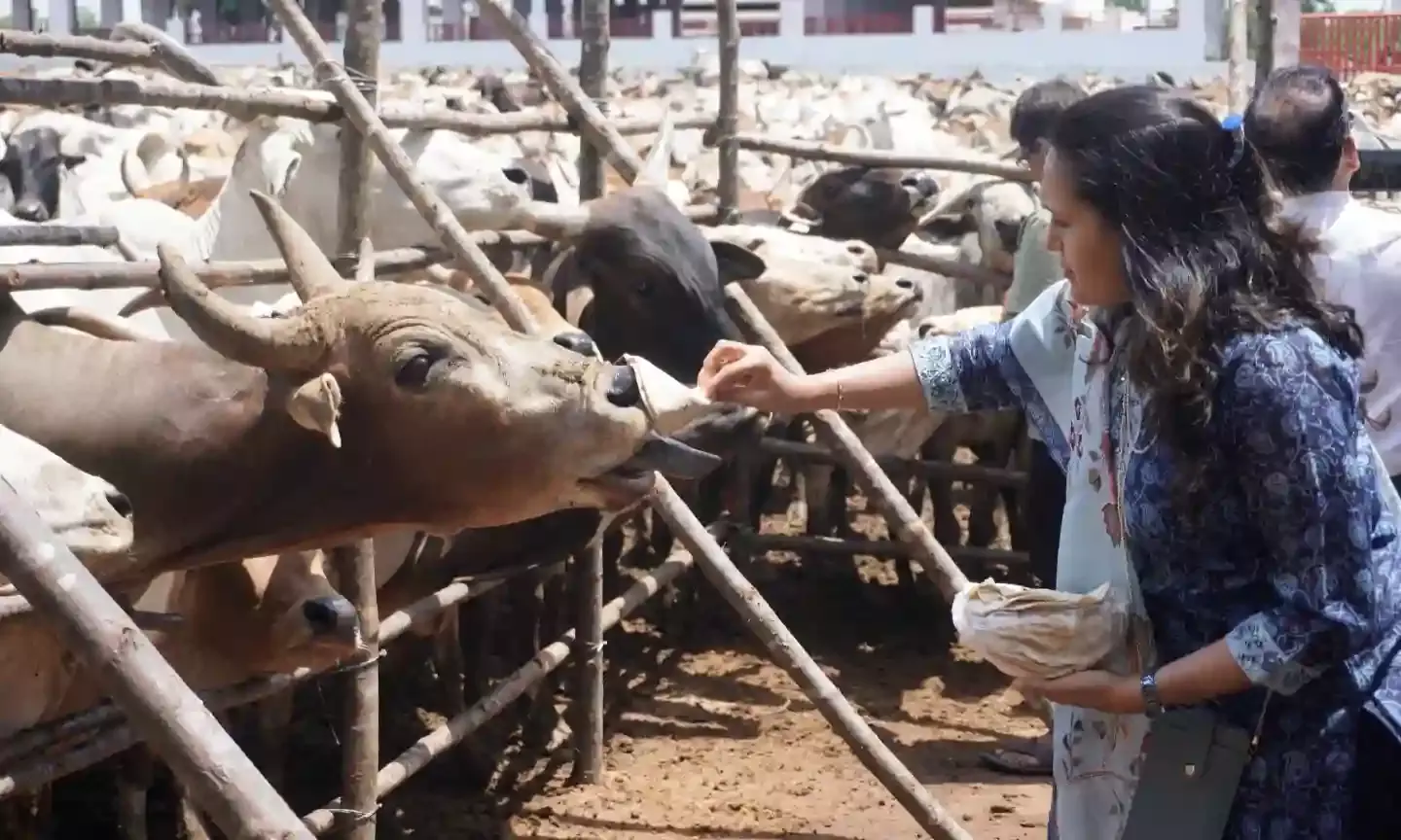 Animal Lovers Alert: South India’s biggest veterinary hospital opens at Shamshabad